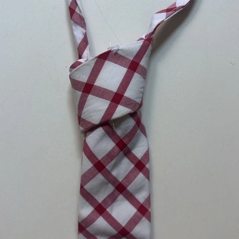 J. Crew Red and White Check Cotton Pre-Made Tie